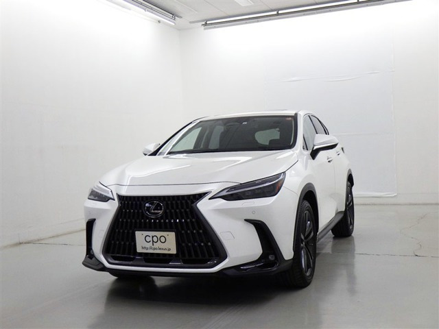 NX 350h バージョンL （6AA-AAZH20）
