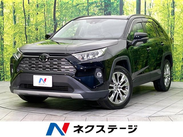 RAV4 2.0 G Zパッケージ 4WD （6BA-MXAA54）