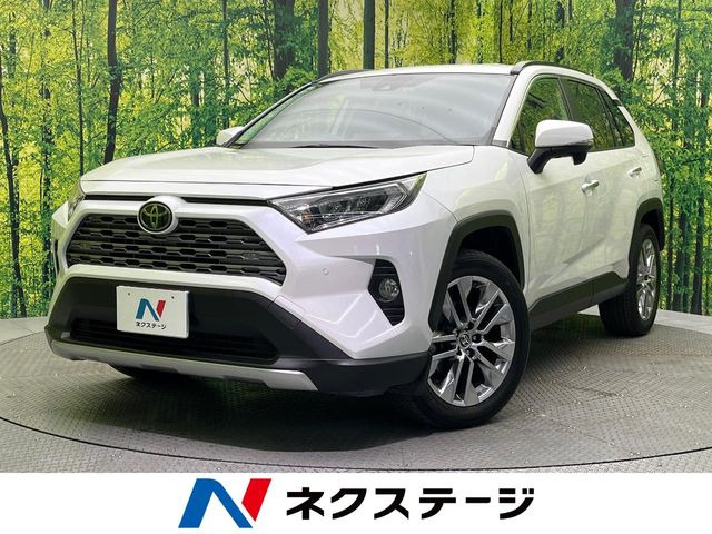 RAV4 2.0 G Zパッケージ 4WD （6BA-MXAA54）