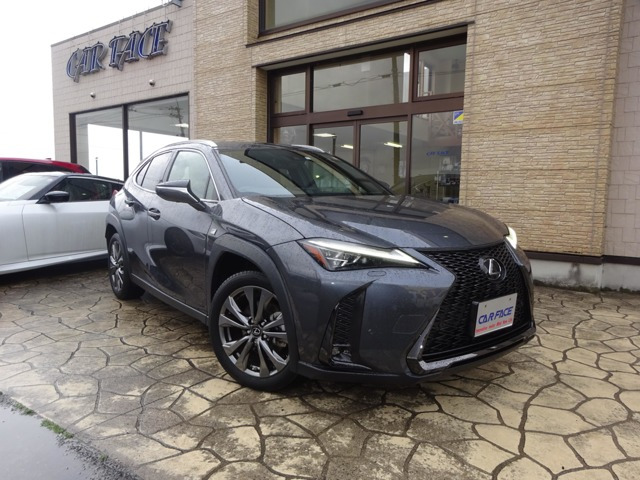 UX 250h Fスポーツ 