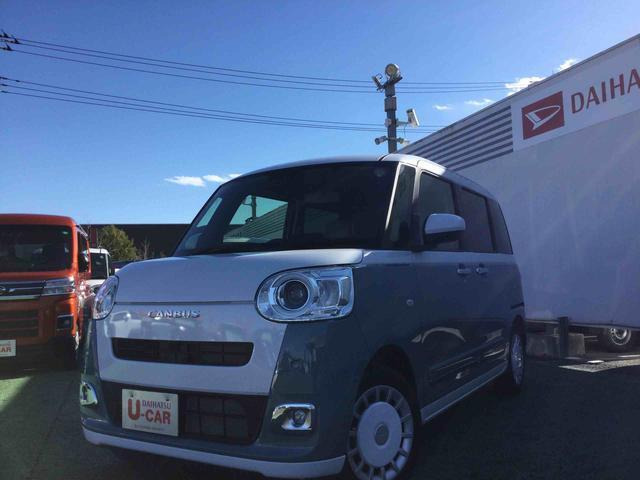 ムーヴキャンバス  ストライプス G