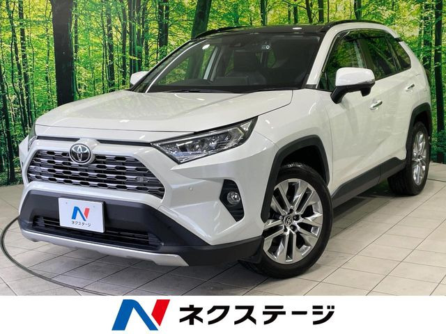 RAV4 2.0 G Zパッケージ 4WD （6BA-MXAA54）