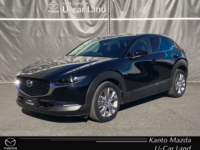 CX-302.0 20S プロアクティブ 4WD