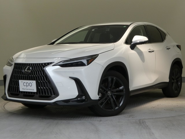 NX 250 バージョンL NX 250 バージョンL（5BA-AAZA20）