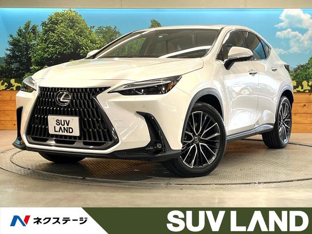 NX350h バージョンL