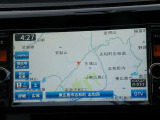 MC313D-W