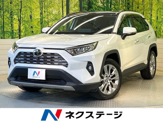 RAV4 2.0 G Zパッケージ 4WD （6BA-MXAA54）