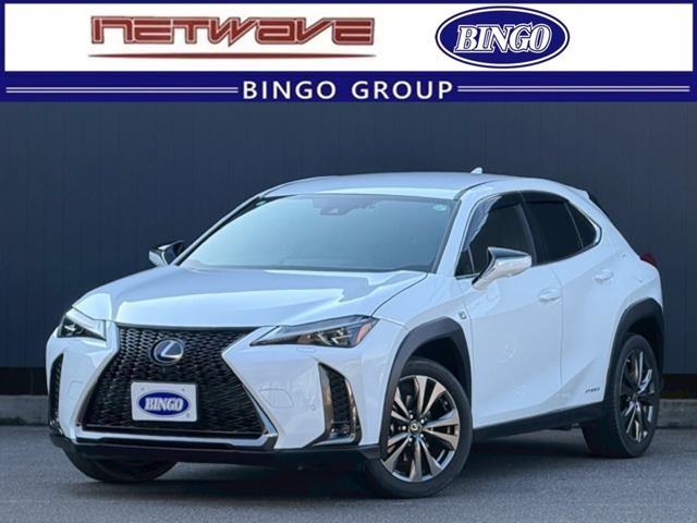 UX 250h Fスポーツ 3眼LEDヘッドライト ドラレコ