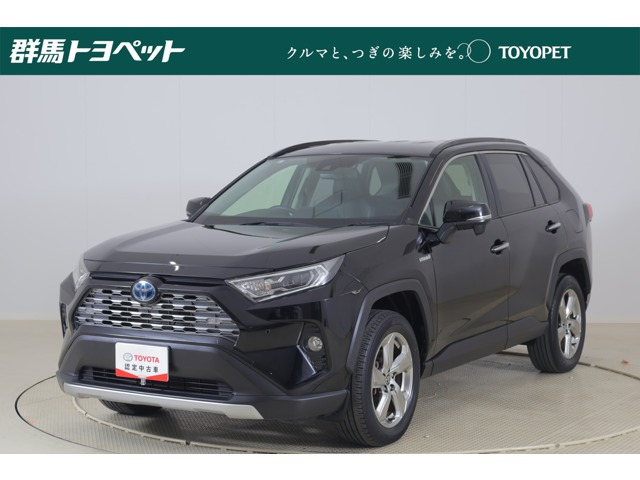RAV4 2.5 ハイブリッド G E-Four 4WD （6AA-AXAH54）