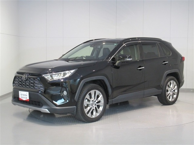 RAV4 2.0 G Zパッケージ 4WD（6BA-MXAA54）