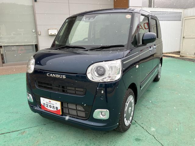 ムーヴキャンバス  セオリー G