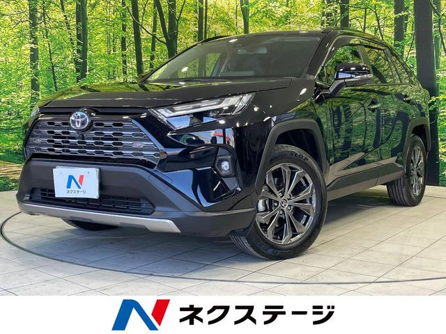 RAV4 2.5 ハイブリッド G E-Four 4WD （6AA-AXAH54）