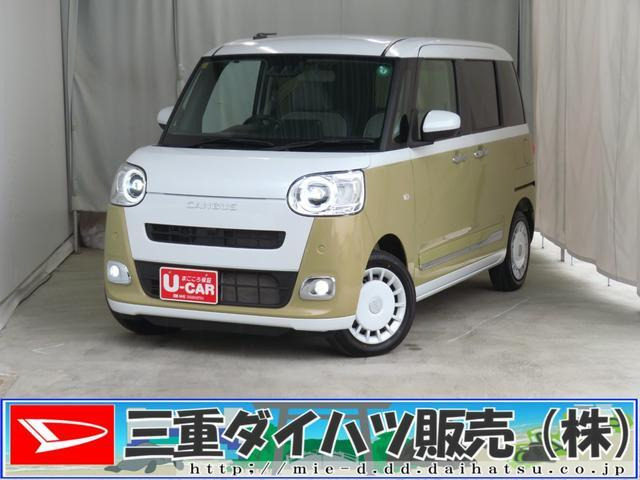 ムーヴキャンバス  ストライプス G