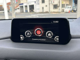 大画面ディスプレイ。車の設定もできます!