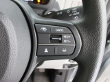 多彩な安心・快適機能を搭載した先進の安全運転支援システムのHonda SENSINGを搭載しております。
