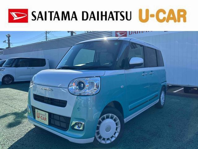 ムーヴキャンバス  ストライプス G