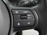 ◆アダプティブクルーズコントロール◆予め設定した車速内でクルマが自動的に加減速。前走車との適切な車間距離を維持しながら追従走行します。【LKAS】車線維持支援システムでステアリング操作を支援。
