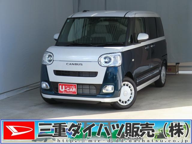 ムーヴキャンバス  ストライプス G