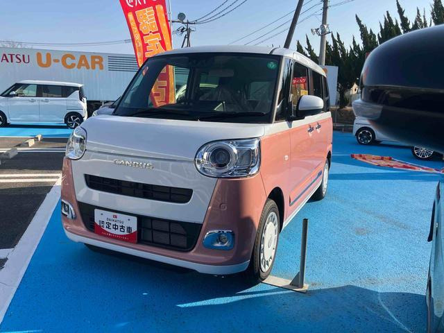 ムーヴキャンバス  ストライプス G