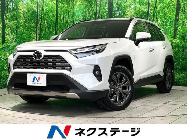 RAV4 2.5 ハイブリッド G E-Four 4WD （6AA-AXAH54）