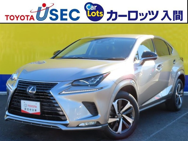 NX300hスパイス&シック