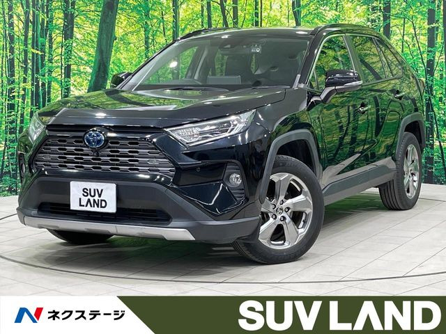 RAV4 2.5 ハイブリッド G E-Four 4WD （6AA-AXAH54）