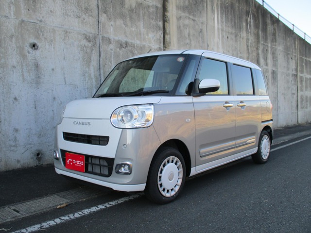 ムーヴキャンバス  ストライプス G