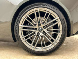 21 inch Multi-Spk Forged -Satin Plat 315