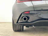 Exhaust - Tailpipe Finisher - Twin - Bright