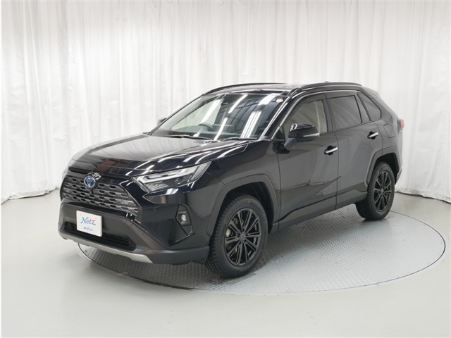 RAV4 2.5 ハイブリッド G E-Four 4WD （6AA-AXAH54）