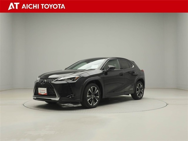 UX 250h バージョンC 