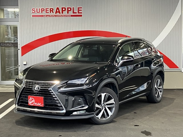 NX300 バージョンL 4WD