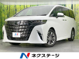 ガラスルーフ 純正14型ナビ 両側電動ドア 全周囲カメラ 100V電源