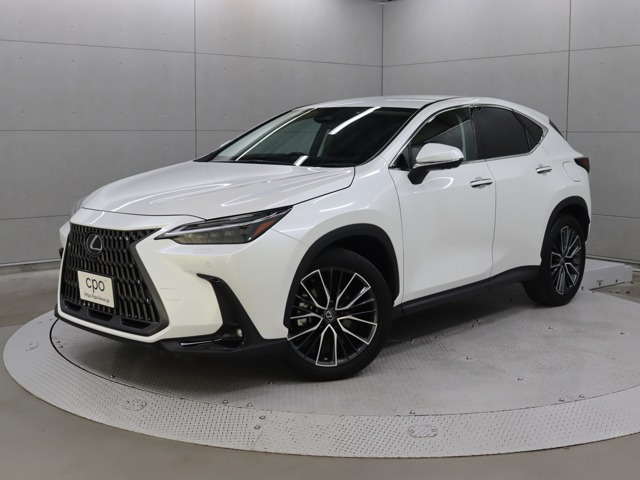 NX 250 バージョンL NX 250 バージョンL（5BA-AAZA20）