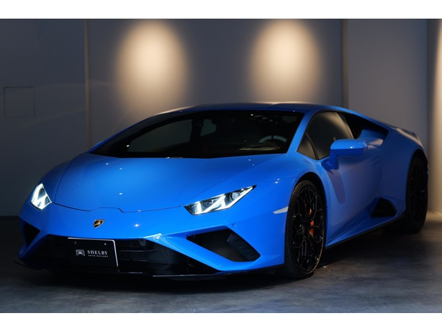 ウラカンEVO (LDF) RWDOP600万 フルプロテクションフィルム