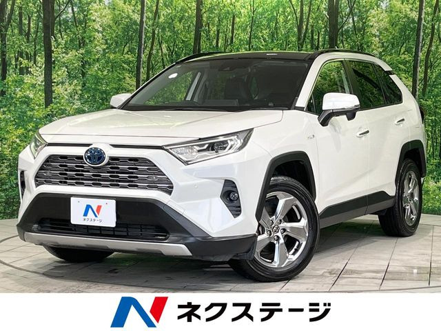 RAV4 2.5 ハイブリッド G E-Four 4WD （6AA-AXAH54）