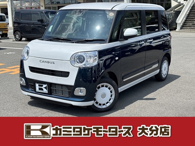 ムーヴキャンバス  ストライプス G