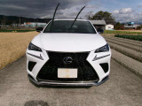 NX 300h Fスポーツ 