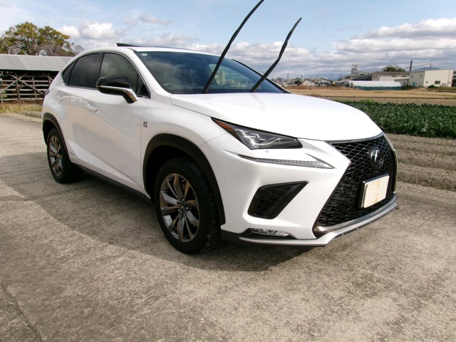 NX 300h Fスポーツ （6AA-AYZ10）