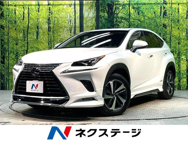NX 300h Iパッケージ （DAA-AYZ10）
