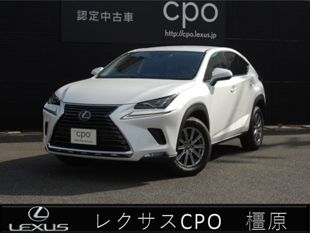 NX 300 Iパッケージ （DBA-AGZ10）