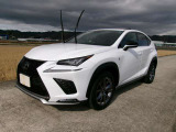 NX 300h Fスポーツ 