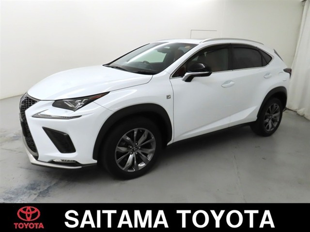 NX 300 Fスポーツ 