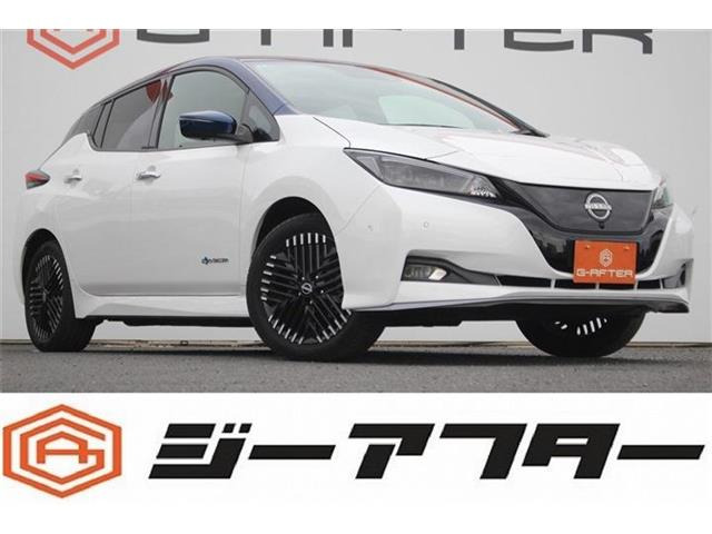 リーフe+ G禁煙車 プロパイロット