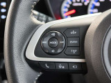 ステアリングスイッチ付き。前方から目を離すことなく操作することが可能です。