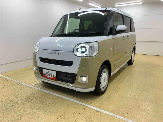 ムーヴキャンバス  ストライプス G