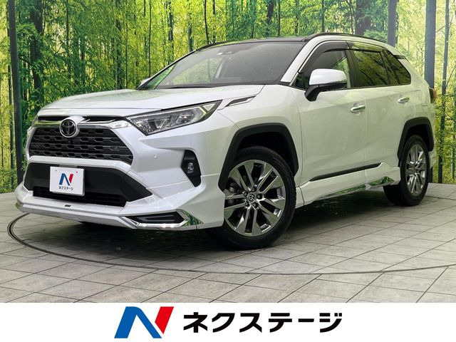 RAV4 2.0 G Zパッケージ 4WD （6BA-MXAA54）