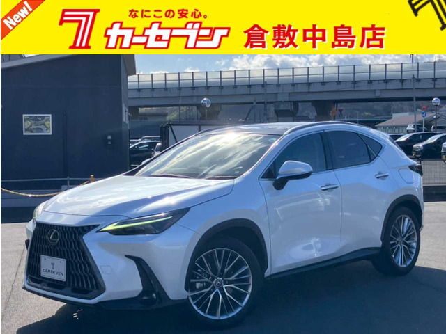 NX 250 バージョンL （5BA-AAZA20）