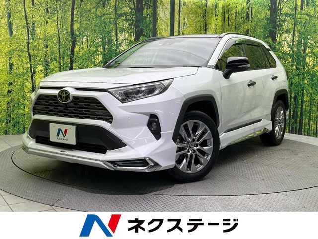 RAV4 2.0 G Zパッケージ 4WD （6BA-MXAA54）