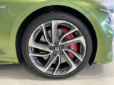 22&rdquo;Ten swept spoke wheel - Grey painted and bright machined